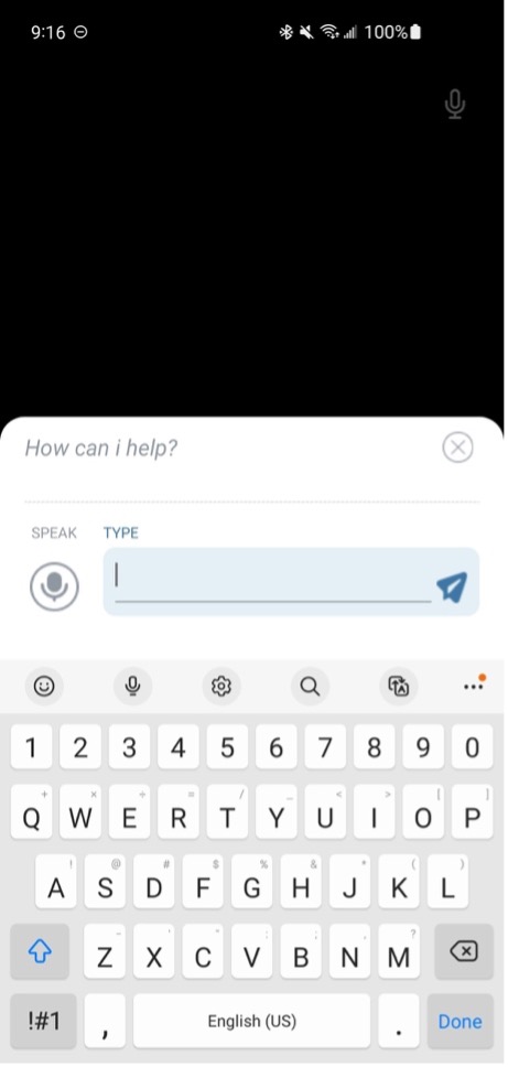 Screen capture of a custom voice assistant